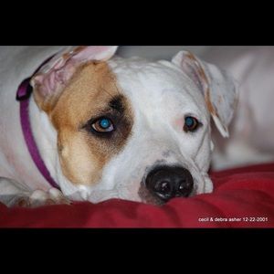 Meet your Posher, Debra